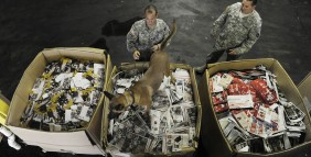 U.S. Army Sgt. John Reynolds, left, and his miltary working dog, Rroddie, search boxes containing magazines while Staff Sgt. Nathan Leo observes during explosives detection training at a warehouse at Fort Goerge G. Meade, Md.