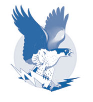 Falcon Loan Logo