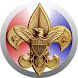 BSA Scout Handbook