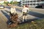 NATO Brigade building clean up