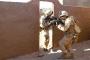 3/6 Marines raid MOUT village to capture high value target