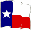 Texas Flag