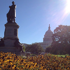 Beautiful July morning on Capitol grounds.