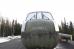 Historic Bird Nests in Alaska National Guard Memorial Park