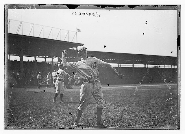 [Pat Maloney, New York AL (baseball)] (LOC)