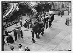 Coney Island, Riding Elephant (LOC)