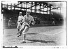 [Larry Doyle, New York NL (baseball)] (LOC) by The Library of Congress