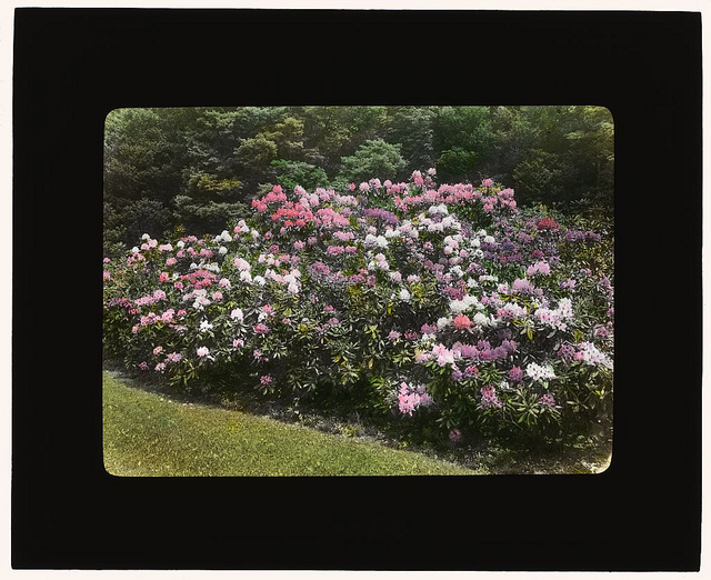 [George Fisher Baker house, Tuxedo Park, New York. (LOC)