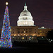 The 2011 Capitol Christmas Tree