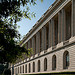 Cannon Building Columns