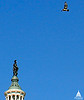 Red-tailed Hawk Flies above Statue of Freedom