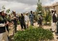 PRT assess Afghan garden