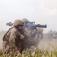 Combat engineers train with Marine Corps’ big guns