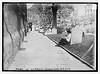 Midday in St. Paul's churchyard, New York  (LOC) by The Library of Congress