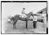 "Roamer" - Taggart up (LOC) by The Library of Congress