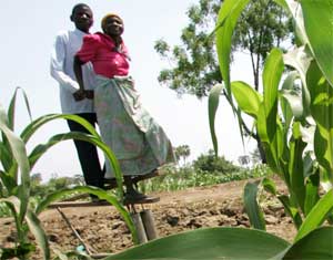 Farmers use a treadle pump to water their crops in the Sanje district, Malawi, September 26, 2005. [© AP Images]