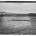 Wisconsin Crew (LOC)