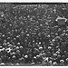 Crowd to meet T.R. at Chicago (LOC)