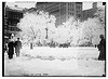 Union Sq. after storm (LOC) by The Library of Congress