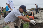 Naval Weapons Station Seal Beach Hosts Native Plant Restoration Event