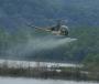 Helicopter used to prepare least tern island