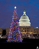 Capitol Christmas Tree - 2009