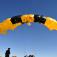 Jumpers out! The US Army parachute team performs during 2012 Amigo Airsho