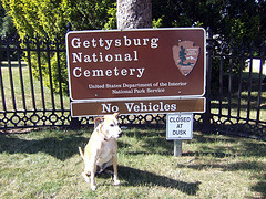 Gettyburg National Cemetery