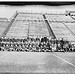 Yale football team, 11/2/14 (LOC)