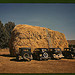 Hay stack and automobile of peach pickers, Delta County, Colorado (LOC)