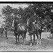 Maj. F. W. Sladen & Lt. H.D. Higley (LOC)