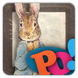 PopOut! Tale of Peter Rabbit