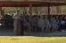 Documentation of the 63rd Brigade Support Battalion Activation Ceremony