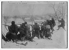 Austrians in the Bukowina (LOC)