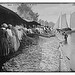 Shad fishing -- fishers and catch (LOC)