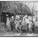 Prince of Weid in Eastern War Zone (LOC)