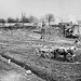 Excavation of site for the Cannon House Office Building