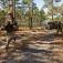 SOTG trains 26 MEU to conduct mechanized raids