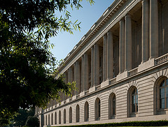 Cannon Building Columns