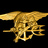 US Navy SEALs