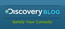 Discovery Blog - Satisfy Your Curiosity