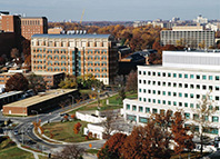 National Institutes of Health Campus