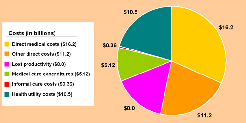 Economic Impact of Vision Loss: $51 billion: Direct medical costs = $16.2 billion; Other direct costs - $11.2 billion; Lost Productivity - $8 billion; Medical care expenditures - $5.12 billion; Informal care costs - $0.36 billion; Health utility costs - $10.5 billion