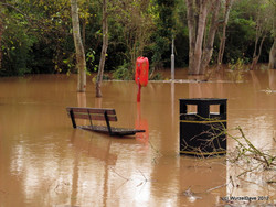 Flooded Elmwood Pit