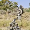 Afghan Border Police knock out insurgent activity with Southern Fist [Image 4 of 50]