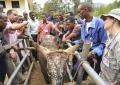 Ethiopia, US partner for Veterinarian Project