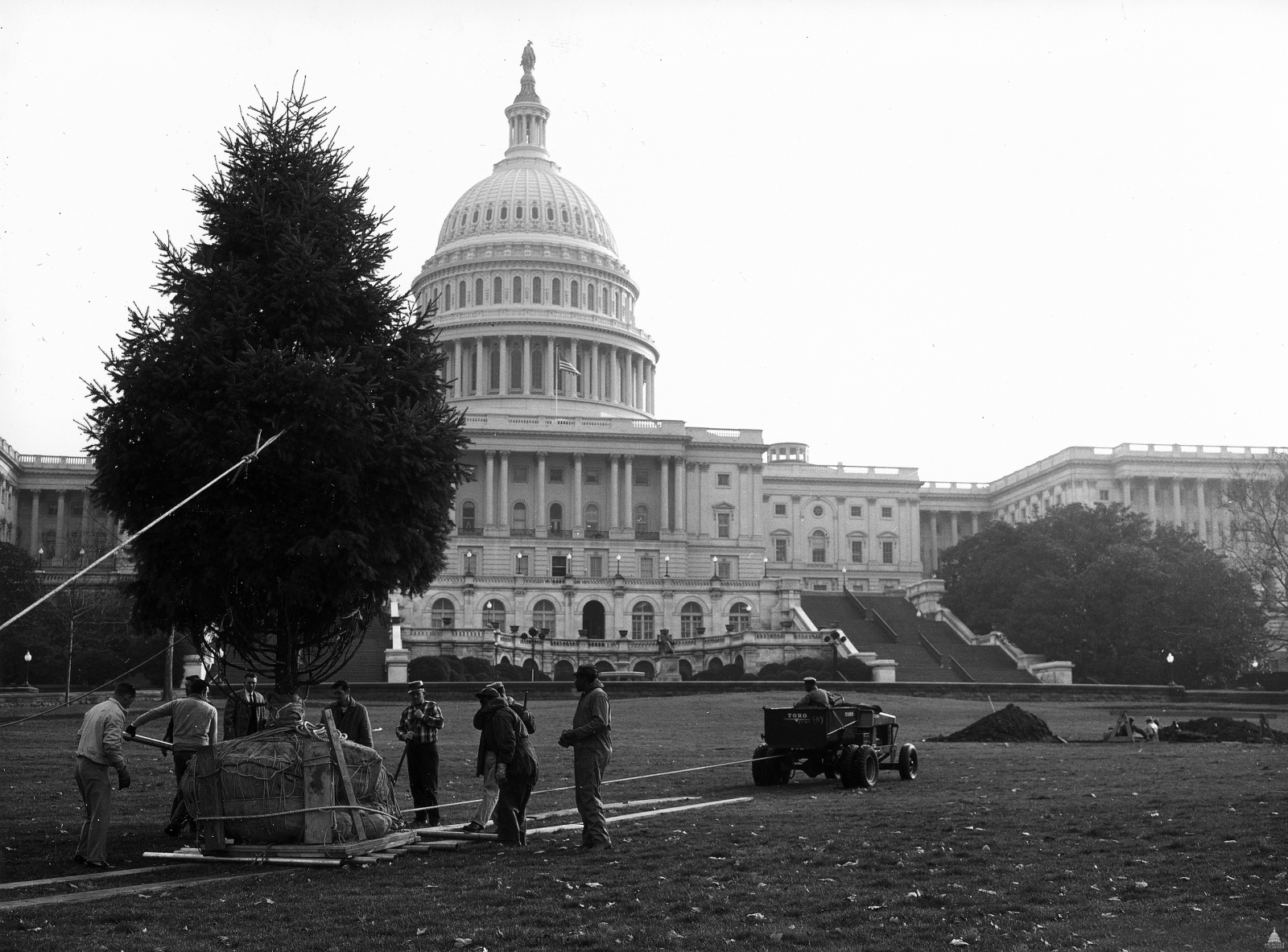 U.S. Capitol Christmas Tree - 1964