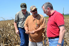 Stobaugh Brothers Farm