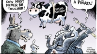 Sacred Cow