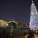 The Capitol Christmas Tree Lighting Ceremony